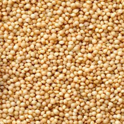 Bulk Organic Amaranth Seeds