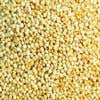Bulk White Quinoa Seeds
