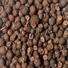 Bulk All Spice Seeds