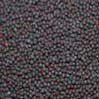 Bulk Black Mustard Seeds