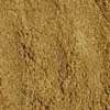 Bulk Coriander Powder
