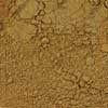 Bulk Dried Ginger Powder