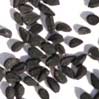 Black Seeds/ Black Cumin Seeds/Nigella Sativa