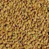Fenugreek Seeds, 1 lb