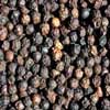 Black Peppercorns Malabar, 5 Lb