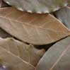 Bay Leaf Turkish, 0.5 Oz