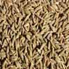 Cumin Seeds, 5 Lb