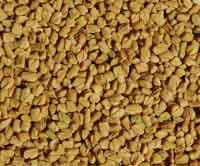Fenugreek Seeds, 5 lb