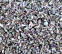 Oregano Leaves (Mediterranean), 1 lb 