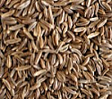 Caraway Seeds, 5 Lb