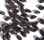 black seed,, nigella sativa, black cumin