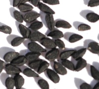 black seed