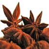 Star_anise