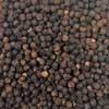 100% Organic Tellicherry Black Peppercorns - Indus Organics