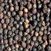 Organic Spices > Black Pepper - Black Peppercorns, (Malabar)