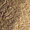 Nutmeg_powder
