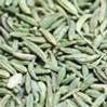 Bulk Anise Seeds